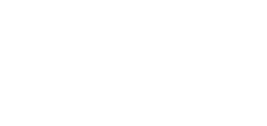 Vision engineering logo