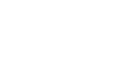 Vision Engineering Logo