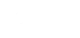 Vision Engineering Logo
